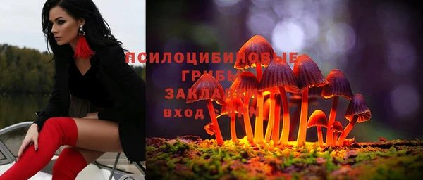 СК Осташков