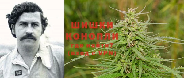 индика Бронницы