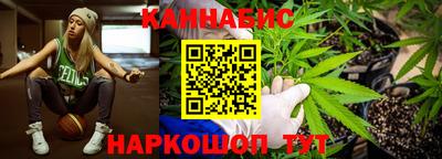 сатива Комсомольск-на-Амуре