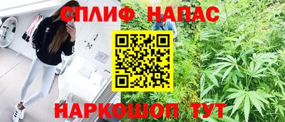 прущие грибы Абакан