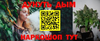 сатива Абакан