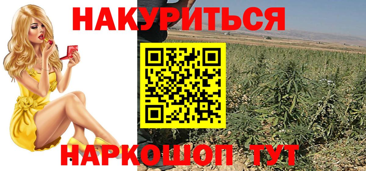 Канабис MAZAR Торжок